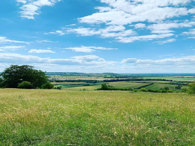 Dunstable Downs